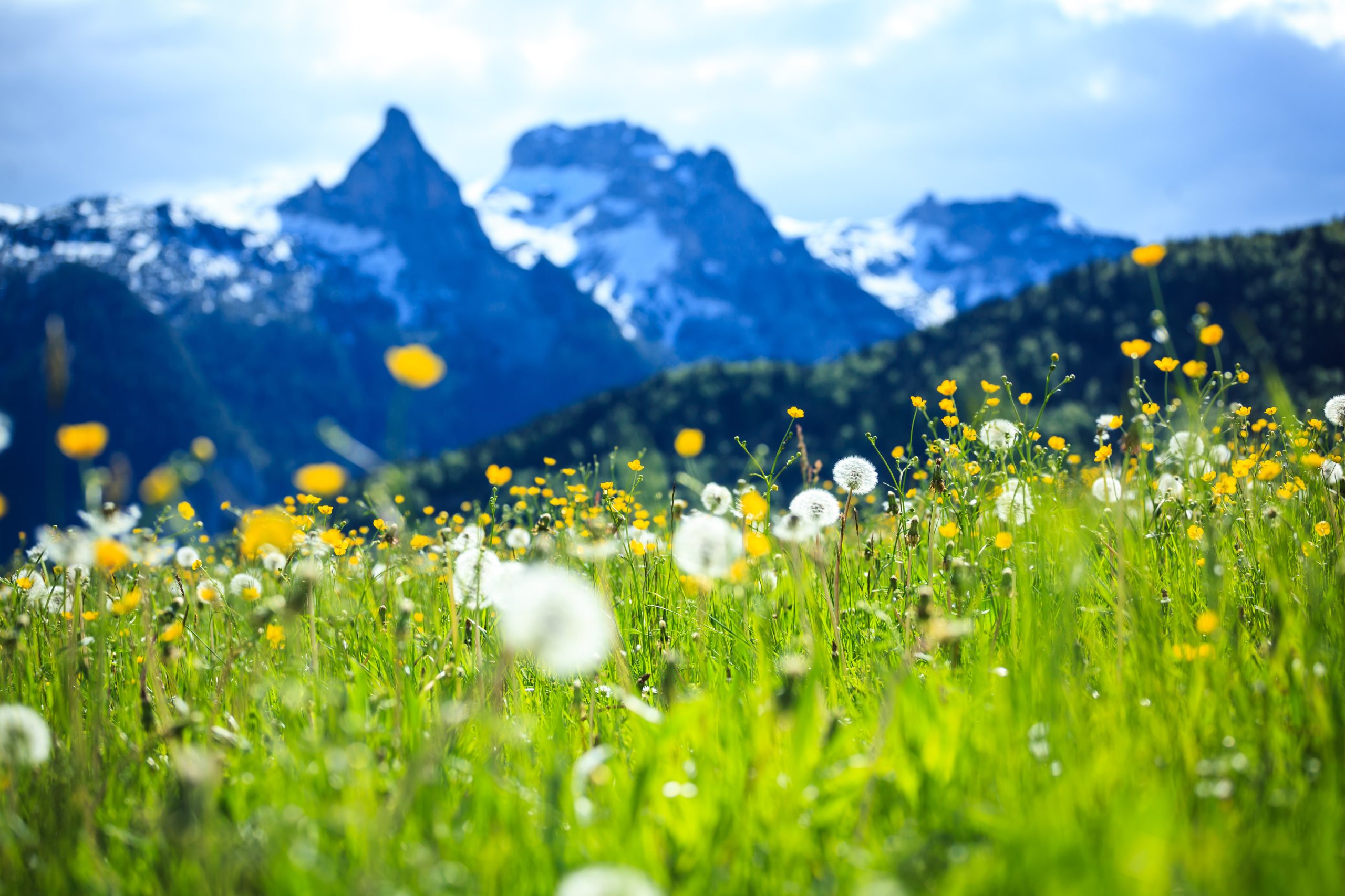 iStock 688049410 scaled