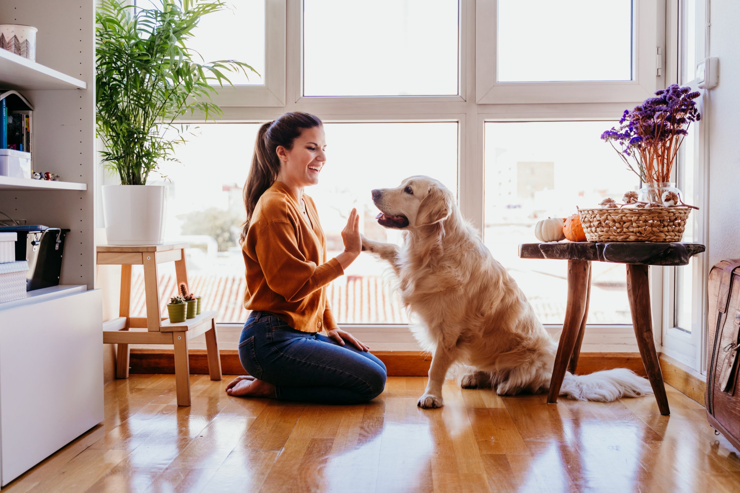 iStock 1204274923 scaled