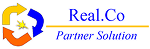 Logo Real.Co Partner Solution