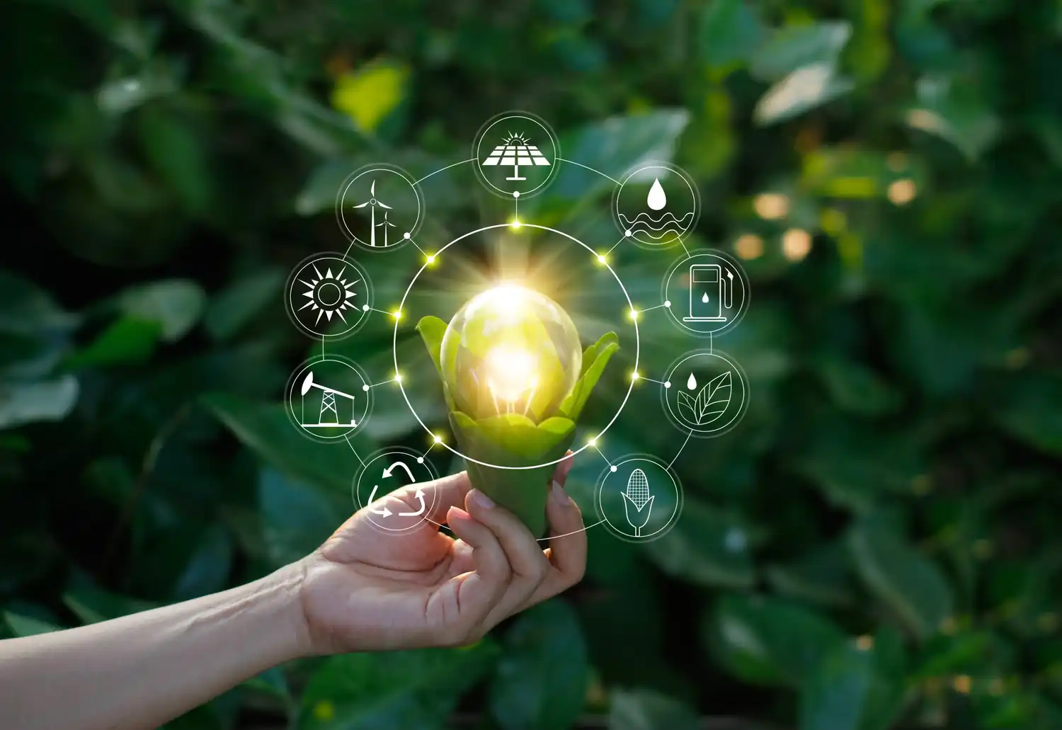 Mano che tiene una lampadina in bocciolo con icone di energie rinnovabili, in sfondo verde fogliame.