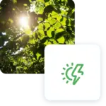 Foglie verdi con sole che filtra, icona energia solare e sostenibilità in primo piano.