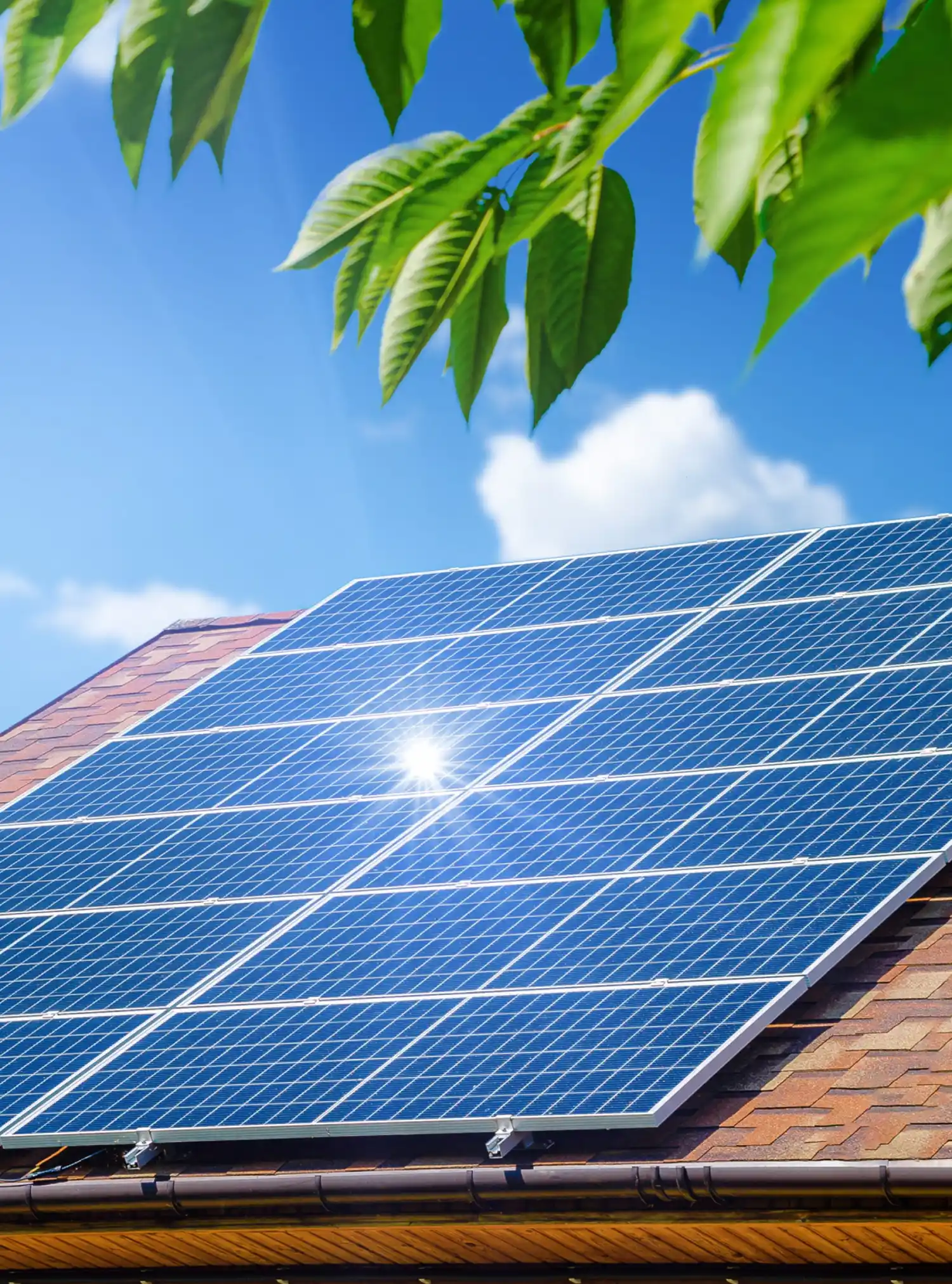 Pannelli solari su un tetto sotto un cielo soleggiato e foglie verdi in primo piano.