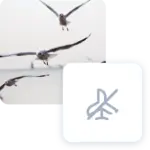 Gabbiani in volo e simbolo di una pala eolica barrata