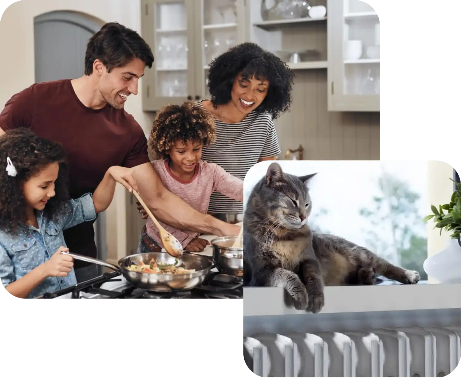 Famiglia cucina insieme in cucina moderna, gatto grigio rilassato su davanzale accanto a pianta.