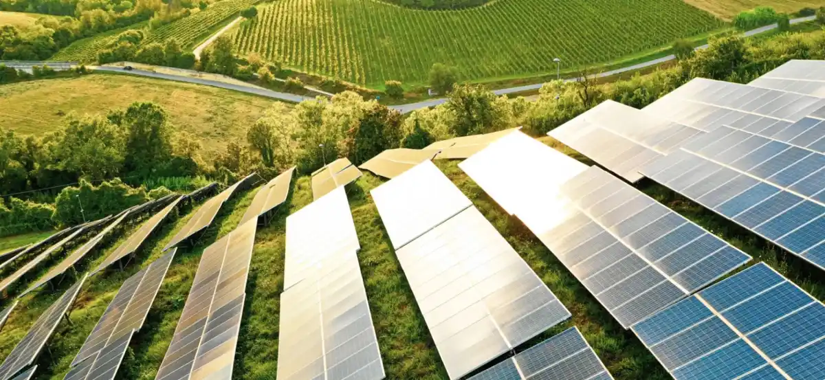 Pannelli solari in un campo agricolo con vigneti sullo sfondo, illuminati dal sole.