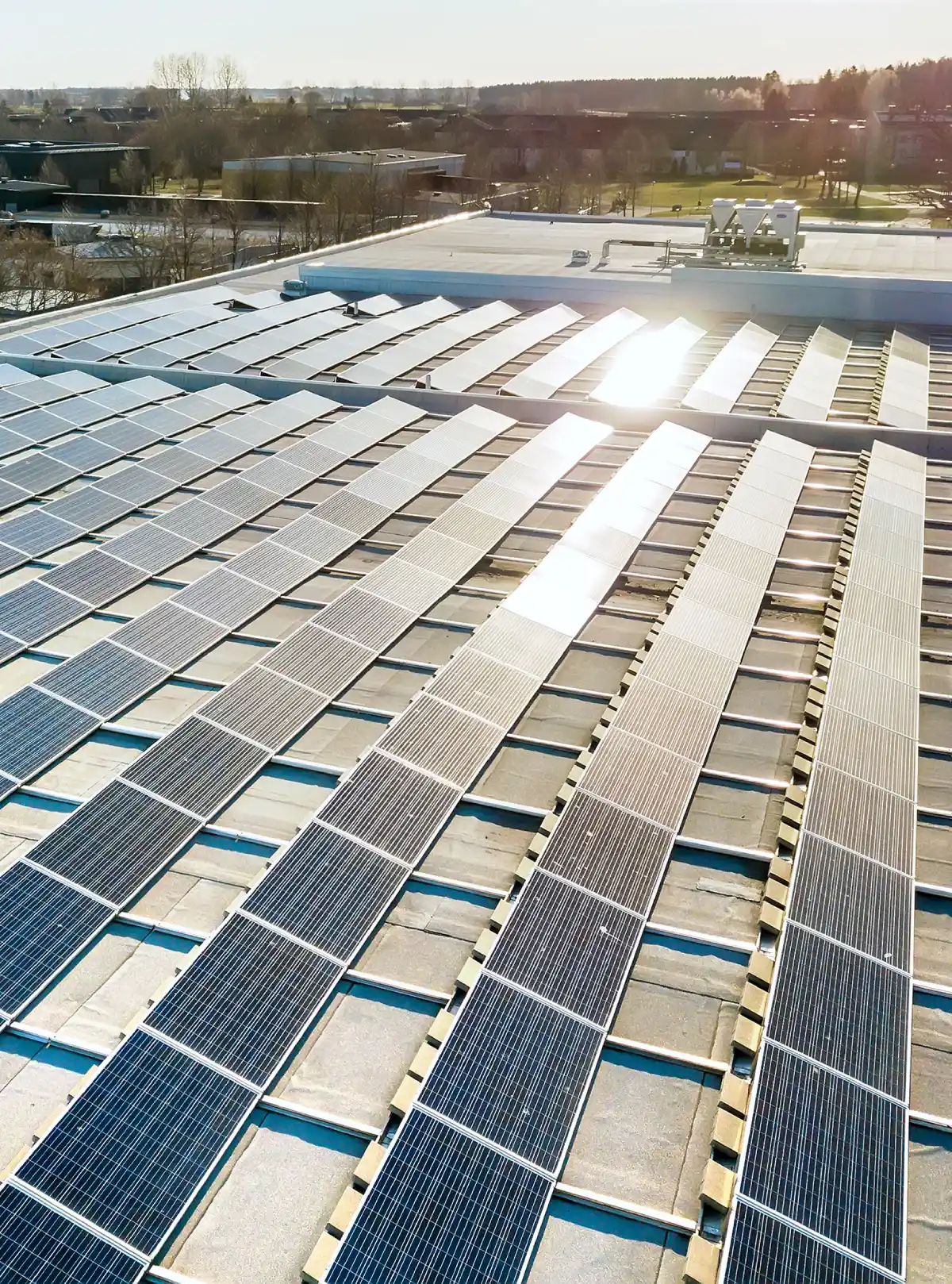 Pannelli solari su un tetto riflettono la luce del sole, con edifici e alberi sullo sfondo.