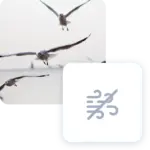 Gabbiani in volo sopra il mare con icona di brezza leggera in sovraimpressione.