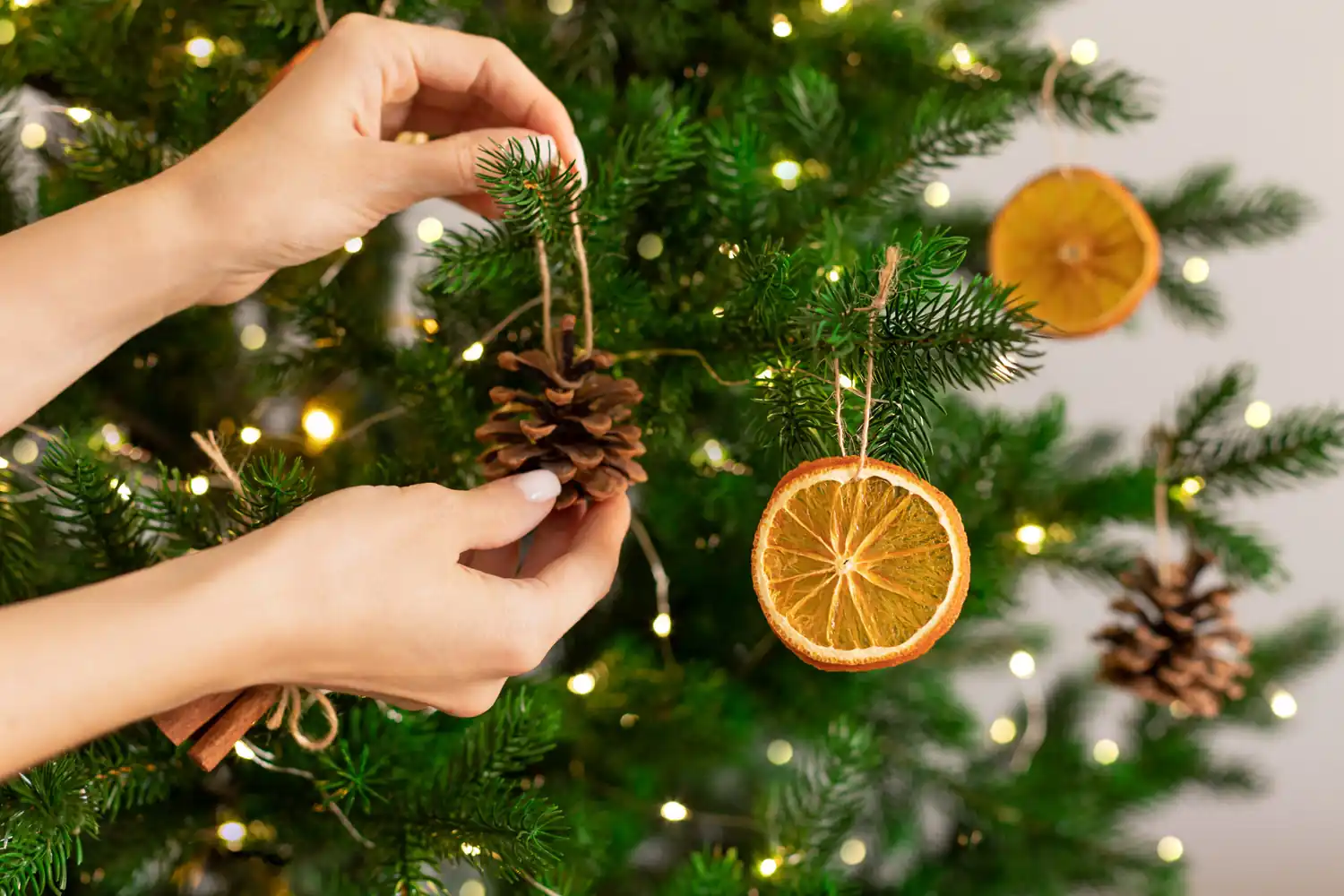 Natale sostenibile idee green