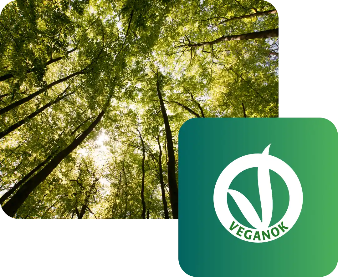 Una foresta e il logo di VEGAN OK