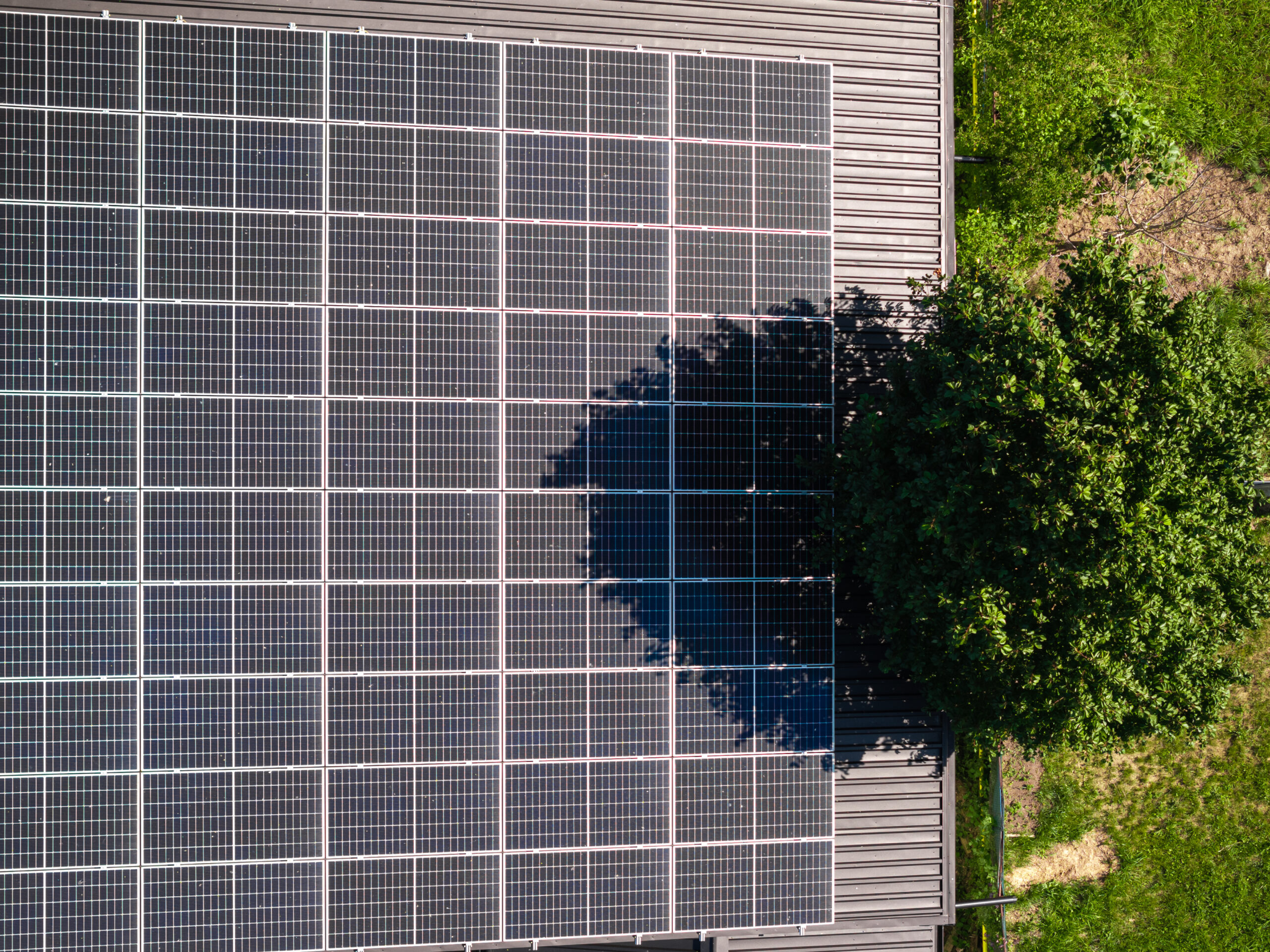 Pannelli fotovoltaici parzialmente ombreggiati da un albero